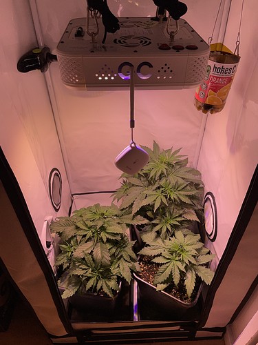 Growreport Bild 15