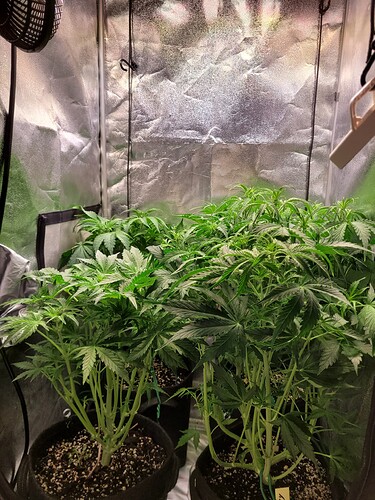 Growreport Bild 2