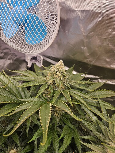 Growreport Bild 28