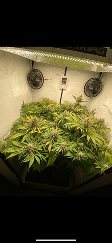 Growreport Bild 3