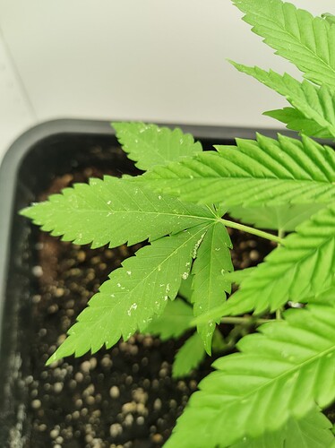 threema-20230727-192441687