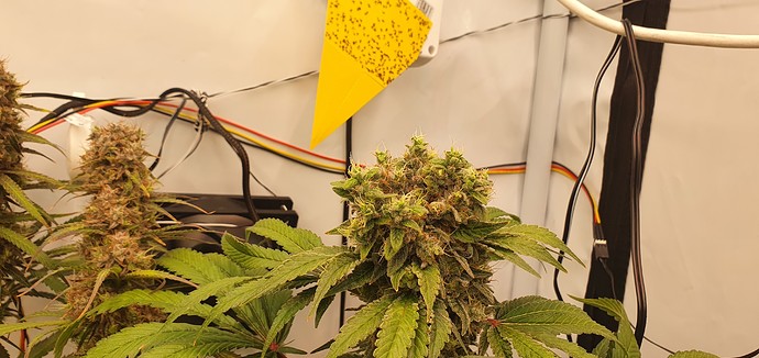 Growreport Bild 16