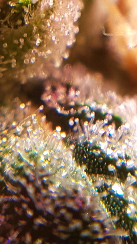20210214_181557