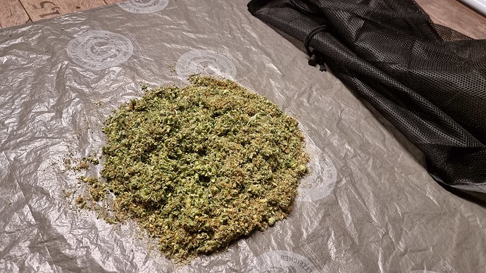 Growreport Bild 23