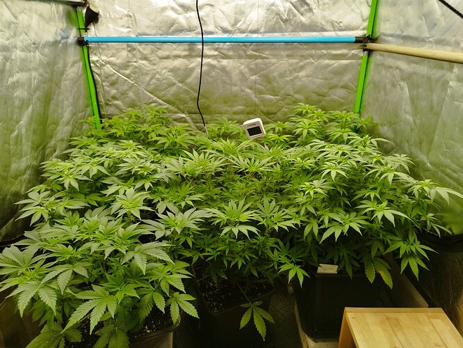 Growreport Bild 4