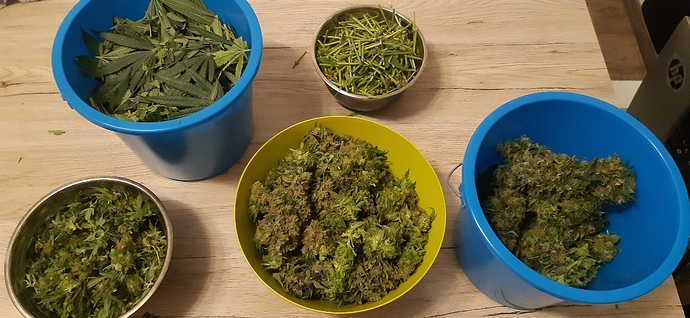 Growreport Bild 1