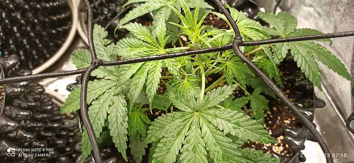 IMG-20230927-WA0002