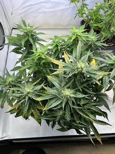 Growreport Bild 14