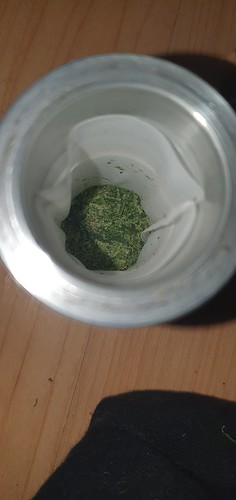 Growreport Bild 7