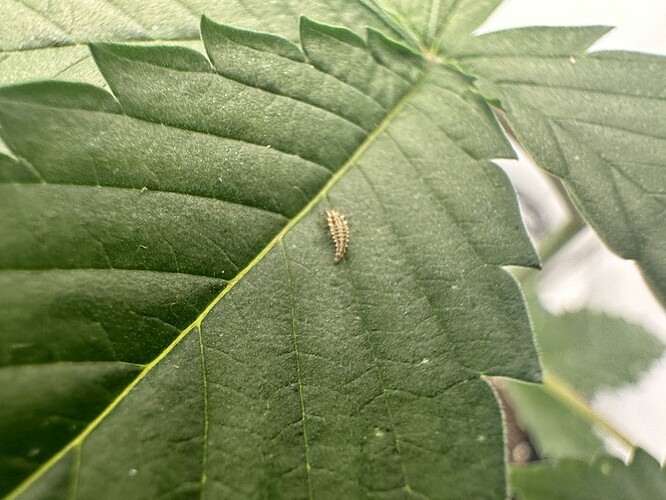 Growreport Bild 6