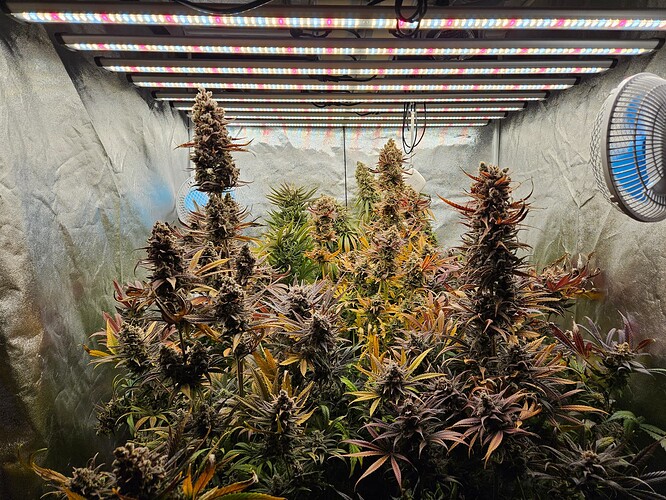 Growreport Bild 17