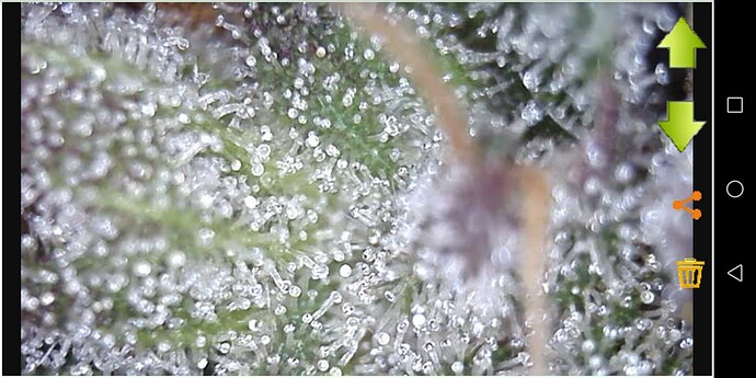 Screenshot_20230608-203843