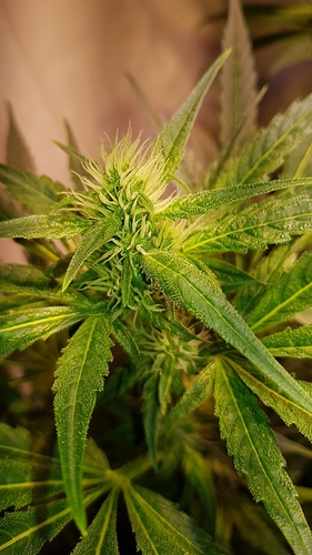 Growreport Bild 14