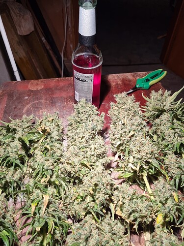 Growreport Bild 5