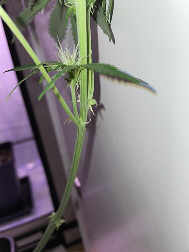 Growreport Bild 3