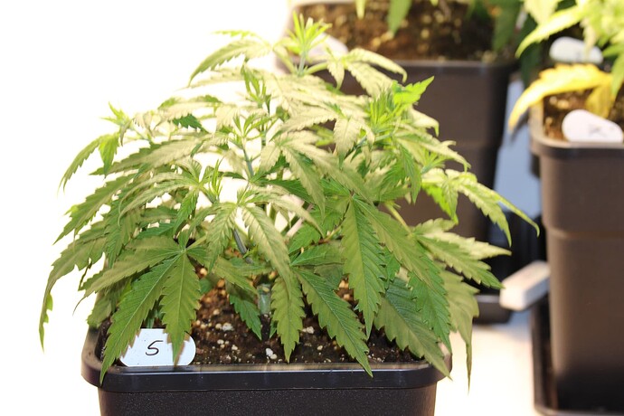 Growreport Bild 10
