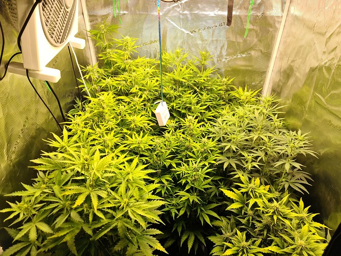 Growreport Bild 1