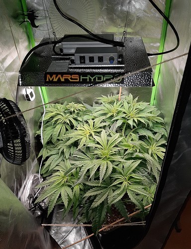 Growreport Bild 1