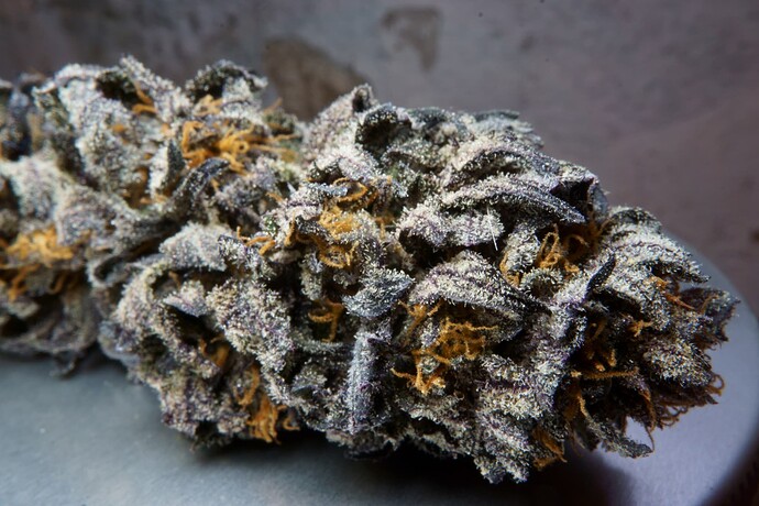 Growreport Bild 2