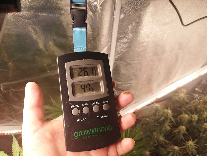Growreport Bild 13