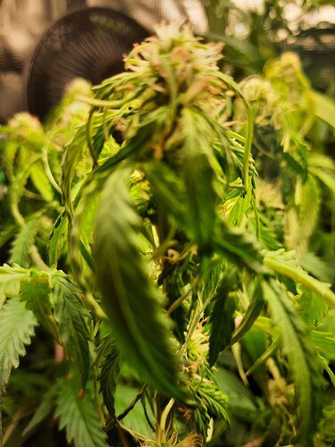 Growreport Bild 9