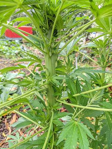 WhatsApp Image 2021-09-15 at 15.37.39