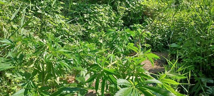 Growreport Bild 9
