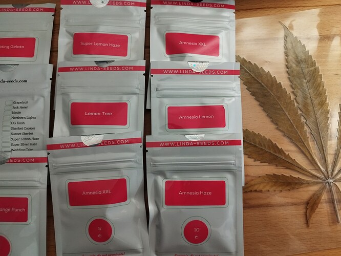 Growreport Bild 11