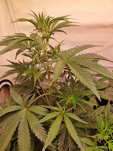 Growreport Bild 16