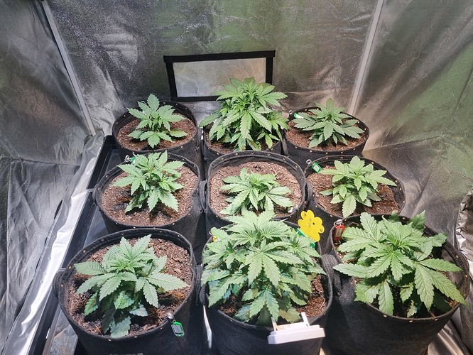 Growreport Bild 11