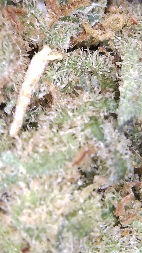 Growreport Bild 21