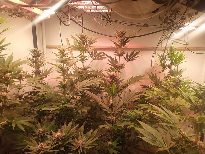 Growreport Bild 14