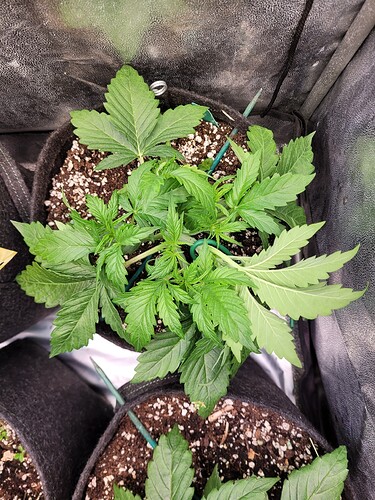 Growreport Bild 21