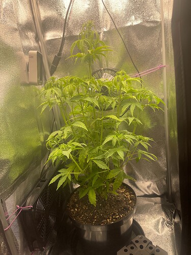 Growreport Bild 19