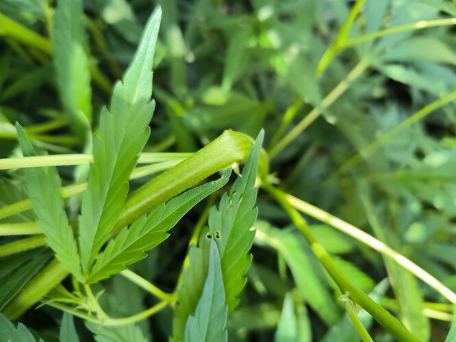 Growreport Bild 17