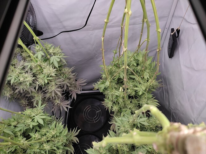 Growreport Bild 17