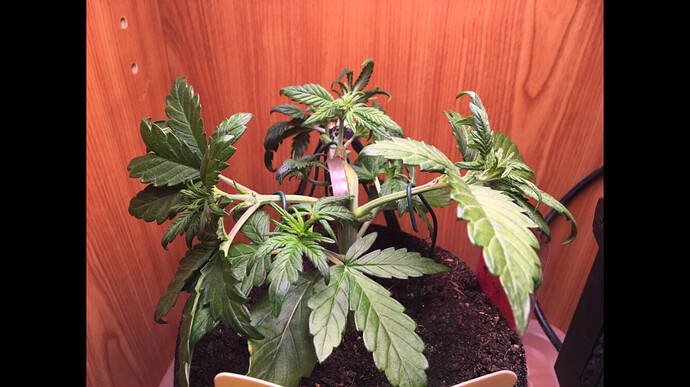 Growreport Bild 23