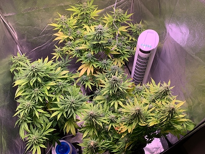 Growreport Bild 9