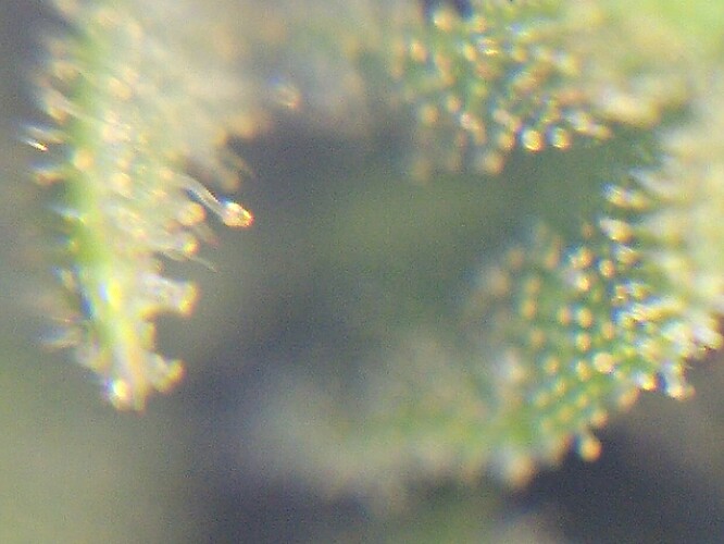 Growreport Bild 30