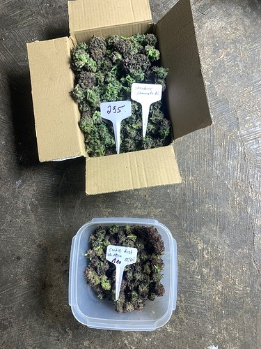 Growreport Bild 2