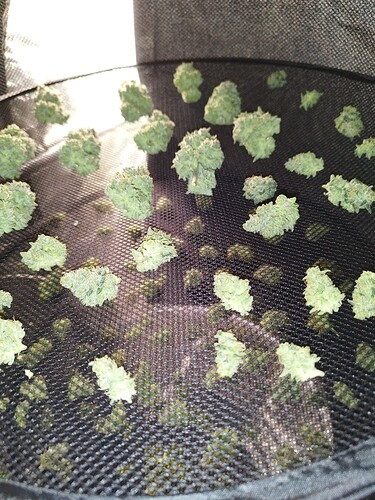 Growreport Bild 26