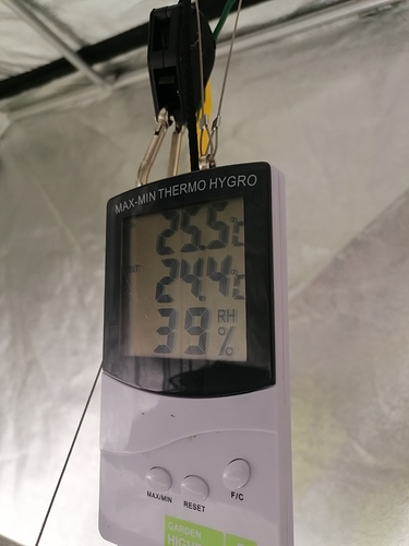 Growreport Bild 1
