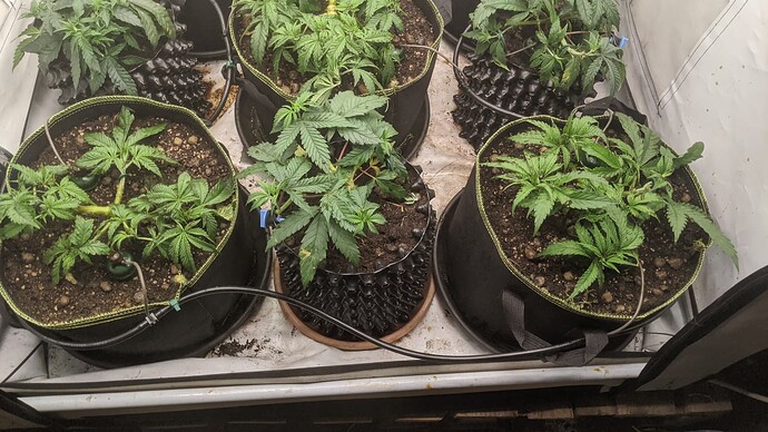 IMG_20231130_135822_212