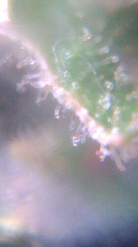 IMG_20230820_190352
