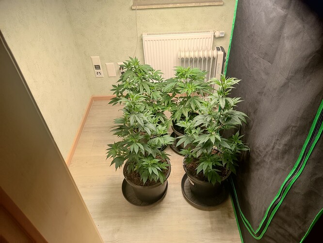 Growreport Bild 15