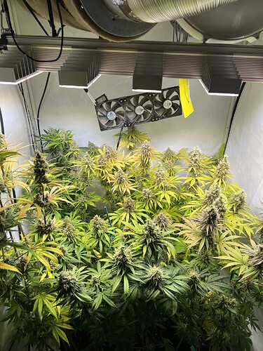 Growreport Bild 3