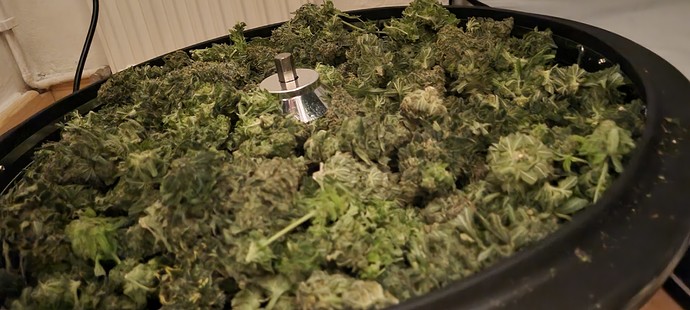 Growreport Bild 7