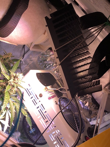 Growreport Bild 20