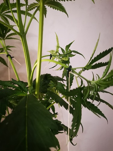 Growreport Bild 22