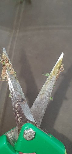 Growreport Bild 40
